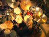 The Nature Of Drumming2